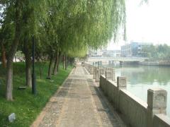 河邊園路、欄桿、地被植物