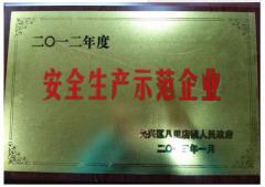 12年鎮(zhèn)安全生產(chǎn)示范企業(yè)